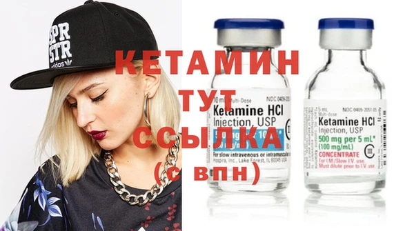 хмурый Дубна
