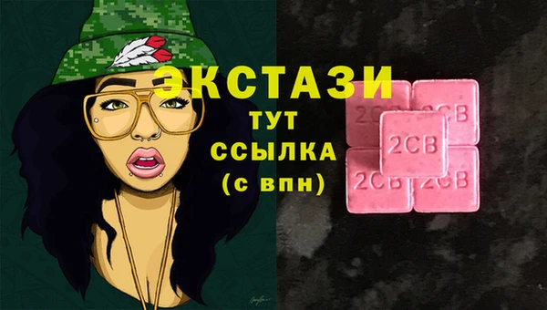 стаф Дрезна