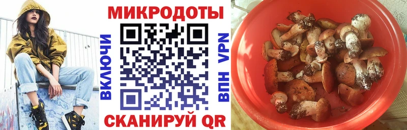 магазин продажи   Белореченск  Галлюциногенные грибы Psilocybine cubensis 